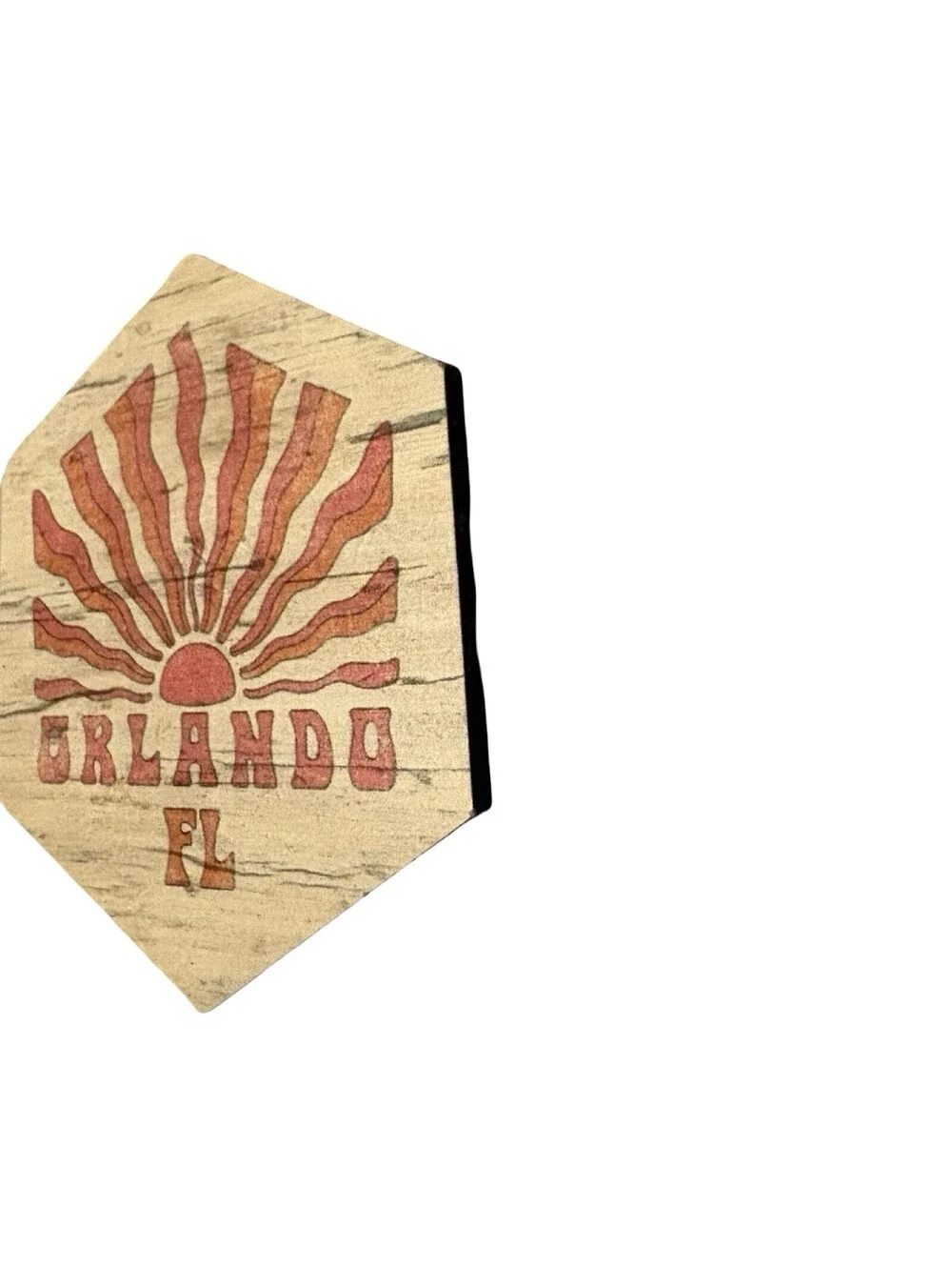 Orlando Florida Wood FRIDGE MAGNET travel souvenir 4”
